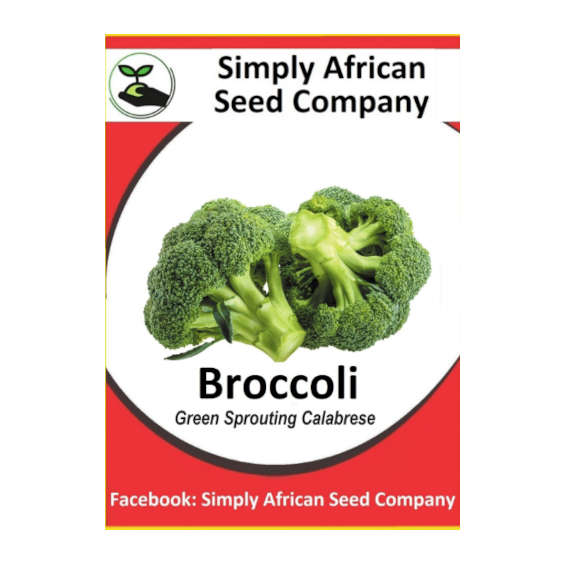 Broccoli, Green Sprouting Calabrese Seeds 30's