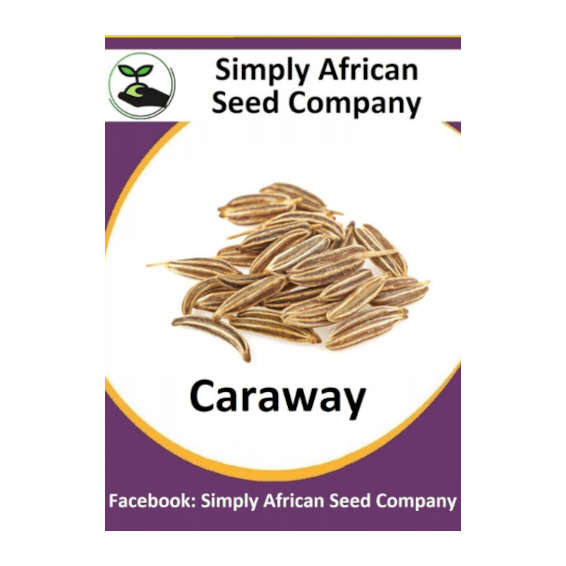 Caraway 50's