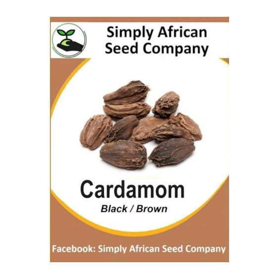 Cardamom Black 6's