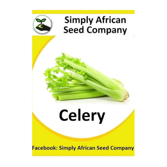 Celery 100's