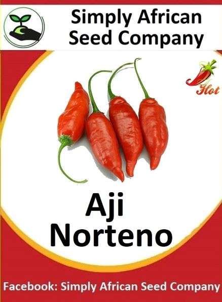 Aji Norteno Seeds