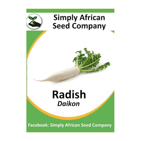Radish (Daikon) 30's