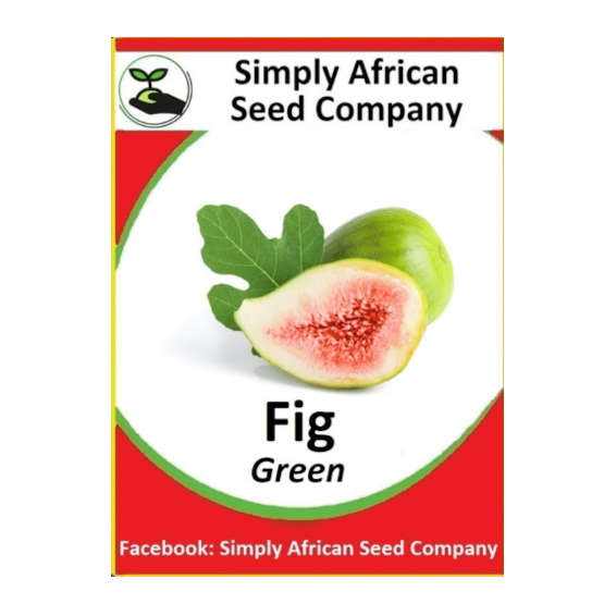 Green Fig 20's