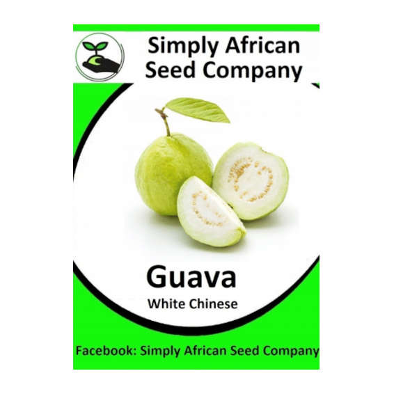 Guava Chinese White 20's