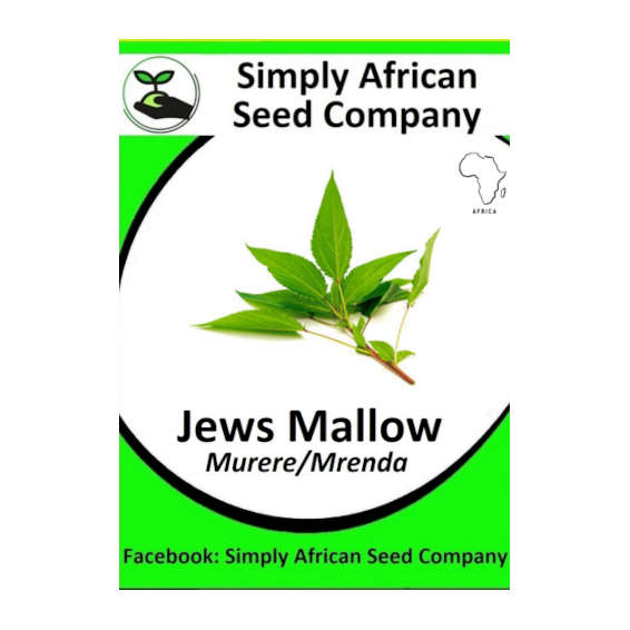 Jews Mallow Seeds 30's