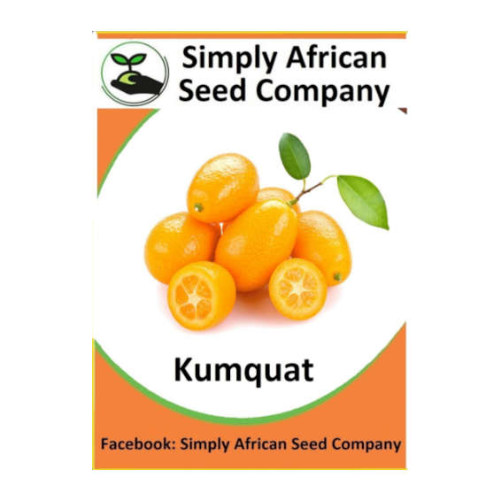 Kumquat 6's