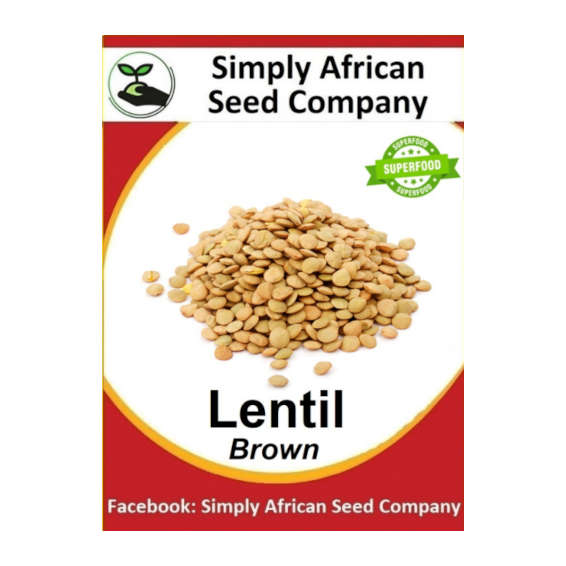 Brown Lentil 50's
