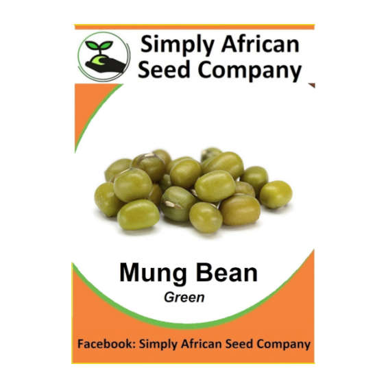 Beans Mung Green 20's