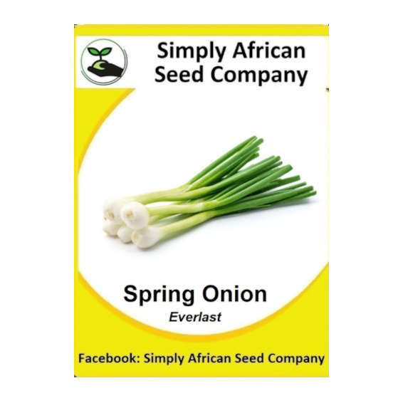 Spring Onion (Everlast) 50's