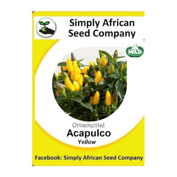 Ornamental Chilli Yellow (Acapulco) 15