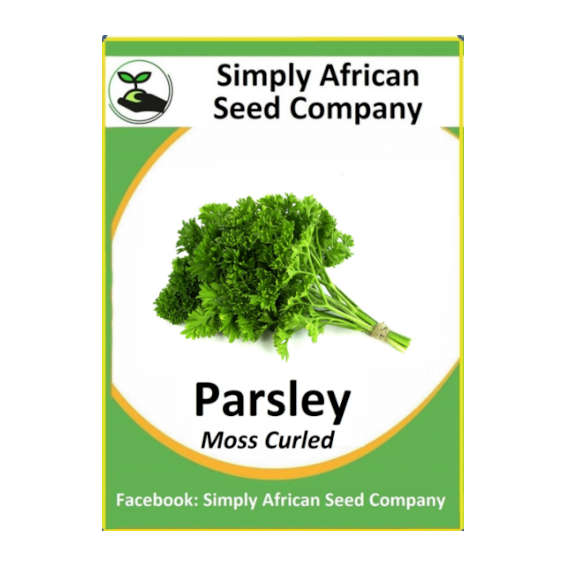 Parsley (Moss Curled)