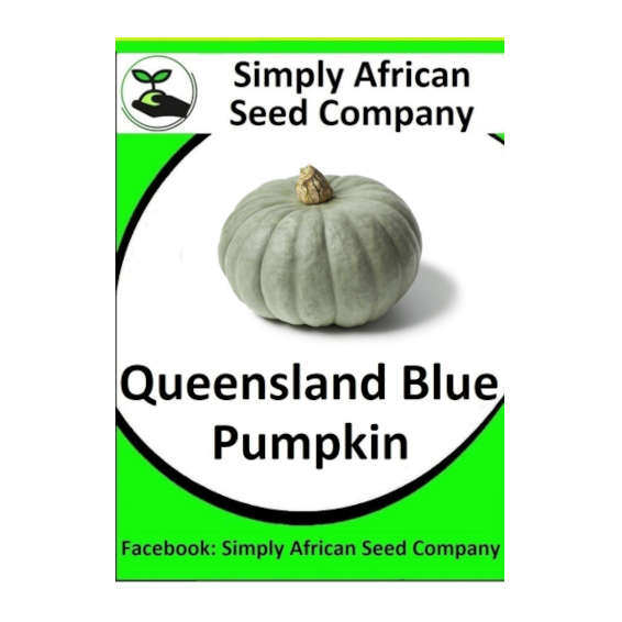 Pumpkin Queensland Blue 20's