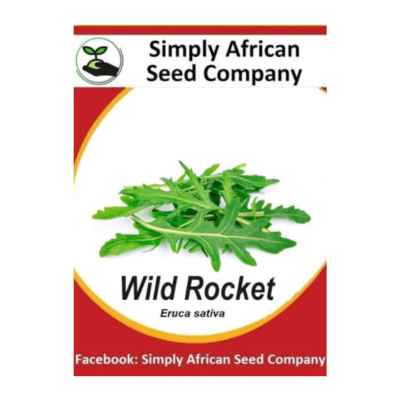 Rocket Wild (Eruca sativa) 50's