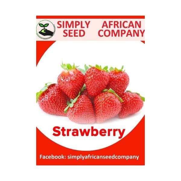 Strawberry Seeds