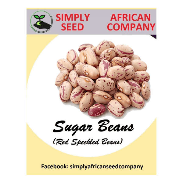 Sugar Bean Seeds