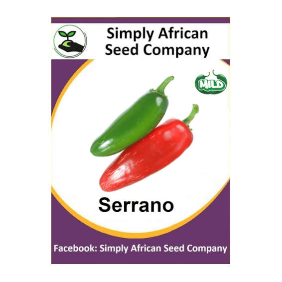 Serrano Chilli 30's