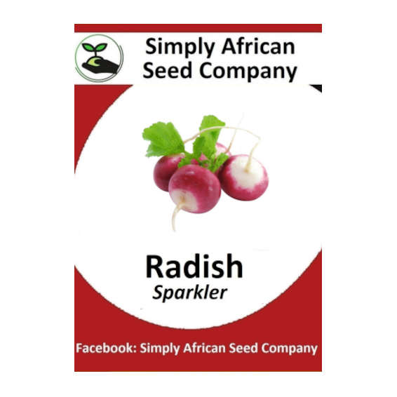 Radish (Sparkler) 30's