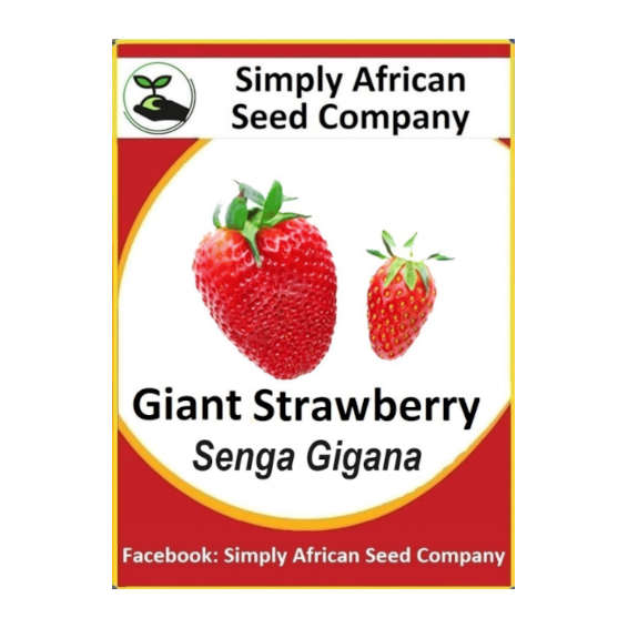 Strawberry Giant