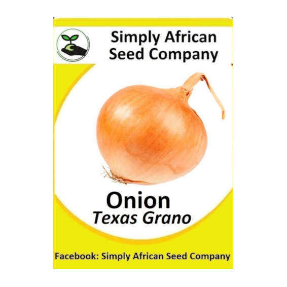 Onion White Texas Grano 50's