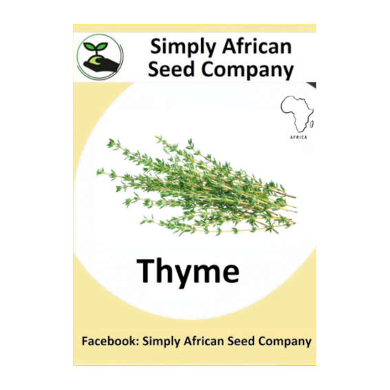 Thyme 50's