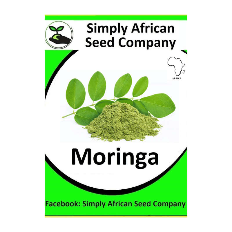 Moringa Tree