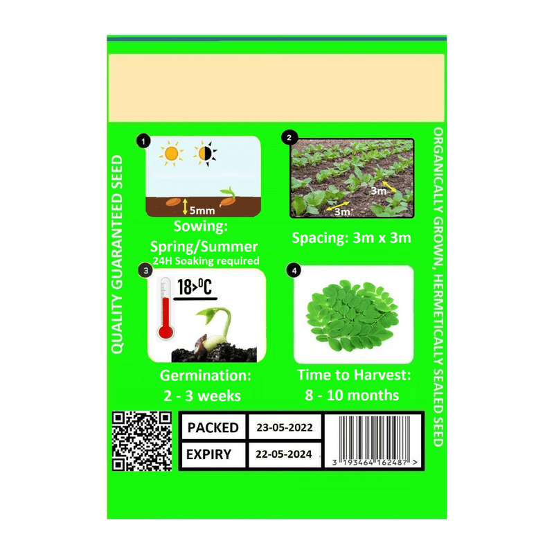 Moringa Tree Seeds