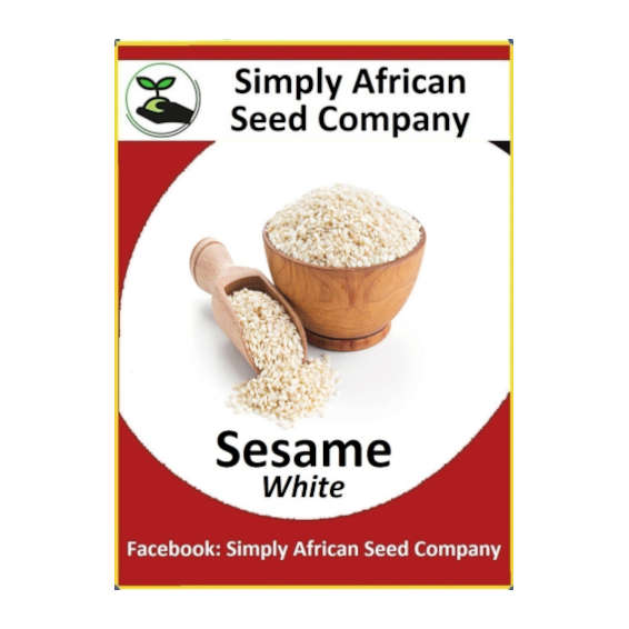 Sesame White 50's
