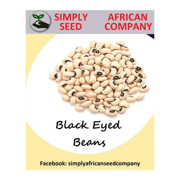 Black Eyed Beans Seeds