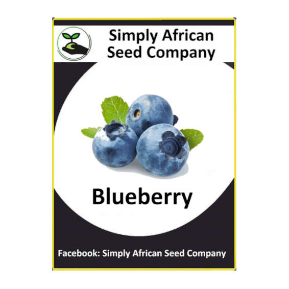 Blueberry