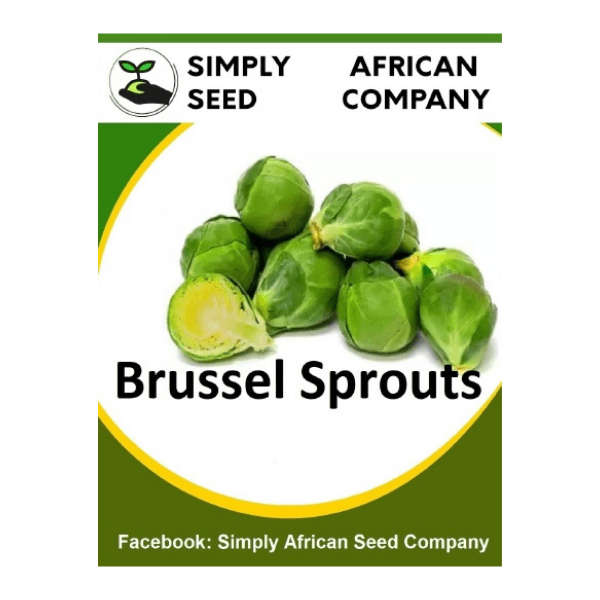 Brussel Sprouts Long Island 30's