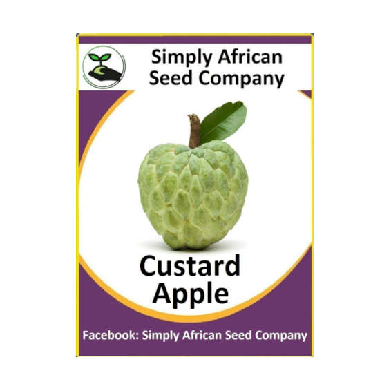 Custard Apple