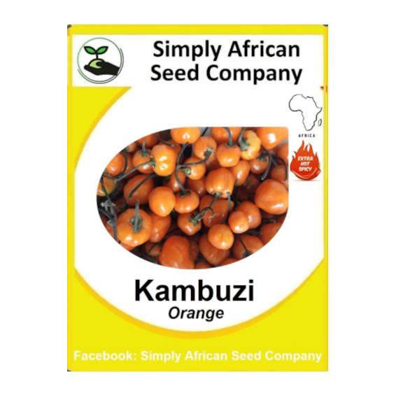 Kambuzi 30's