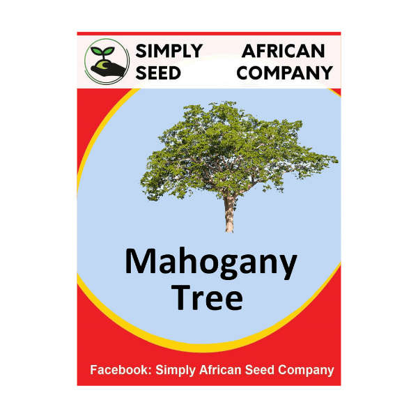 Mahogany Seeds