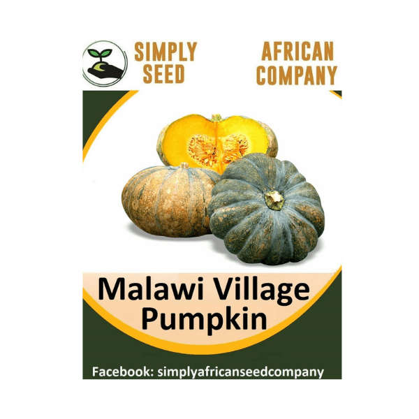 Malawian Village Pumpkin Seeds