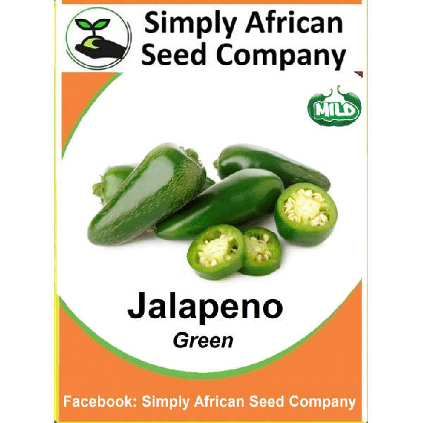 Green Jalapeno Seeds