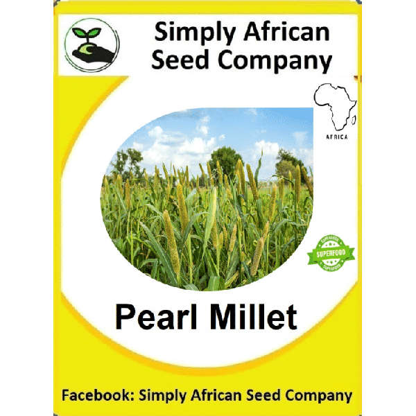 Pearl Millet Seeds