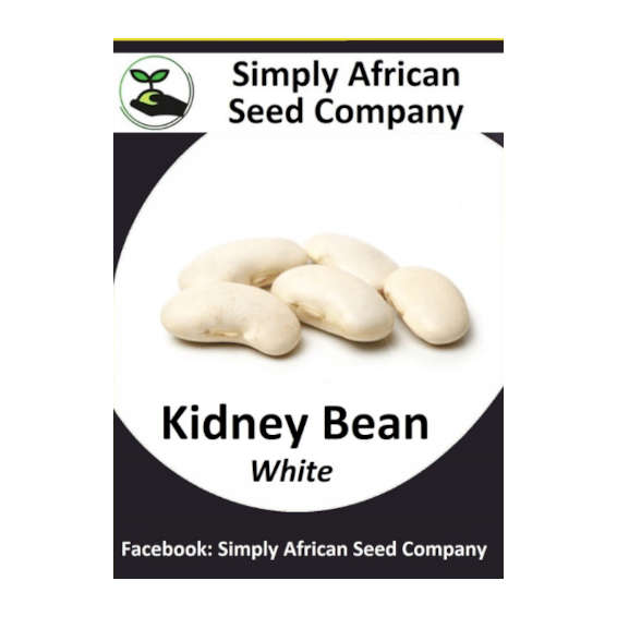 Beans White Kidney 15's