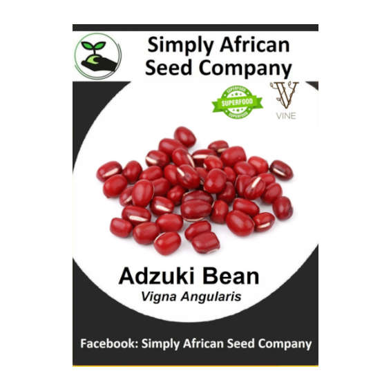 Bean Adzuki Red 15's