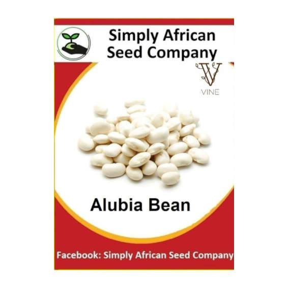 Beans Alubia 30's