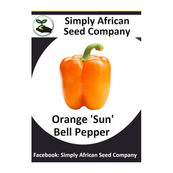 Bell Pepper Orange Sun 15's