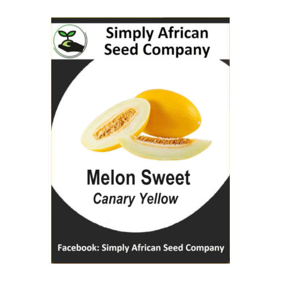Melon Sweet Canary Yellow 15's