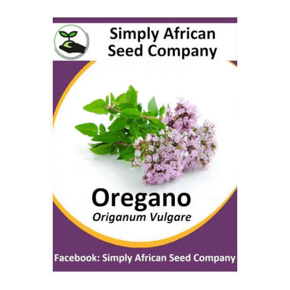Oregano 100's