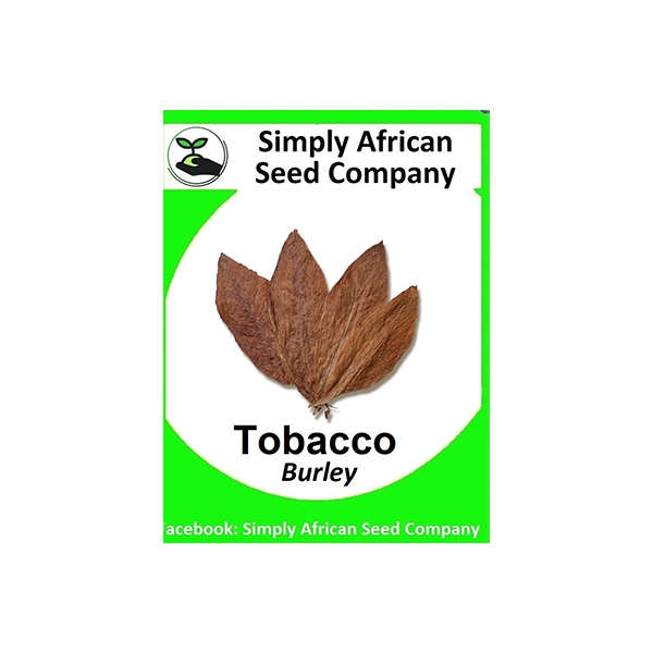 Tobacco Burley Seeds