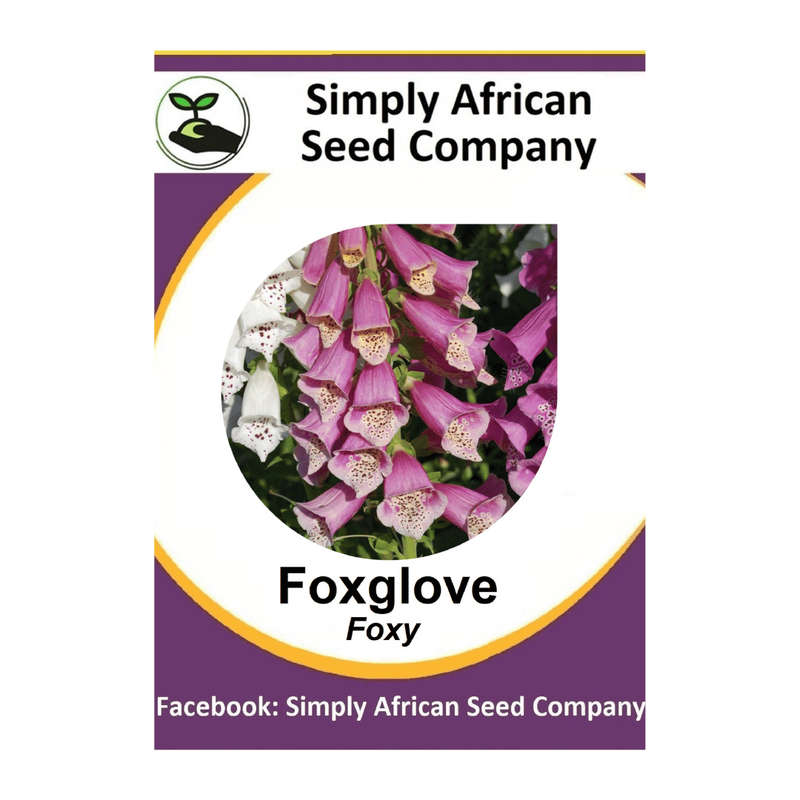 Fox Glove Seeds