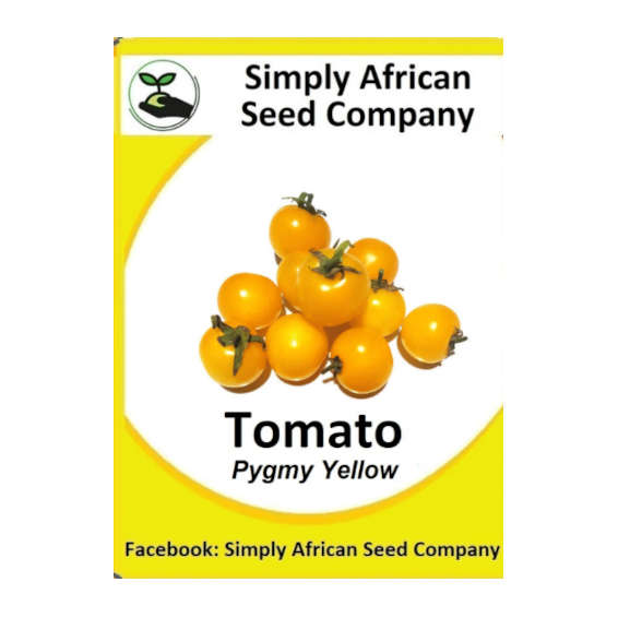 Tomato Pygmy Yellow 15's