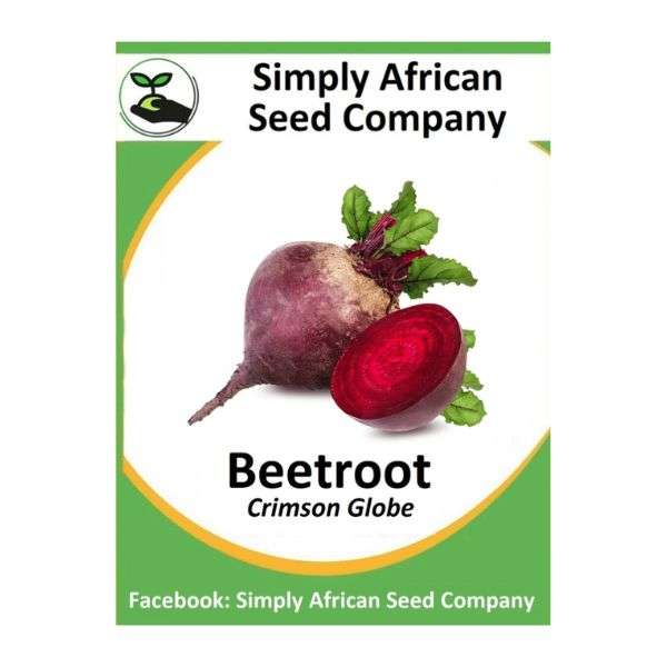 Beetroot Crimson Globe (30's)