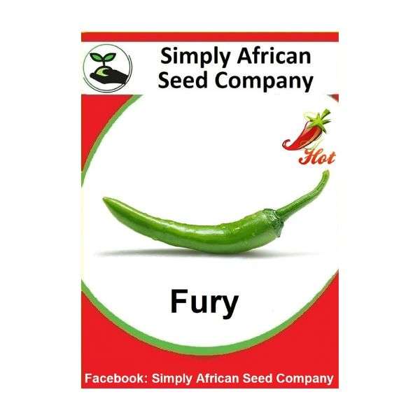 Fury (20's)