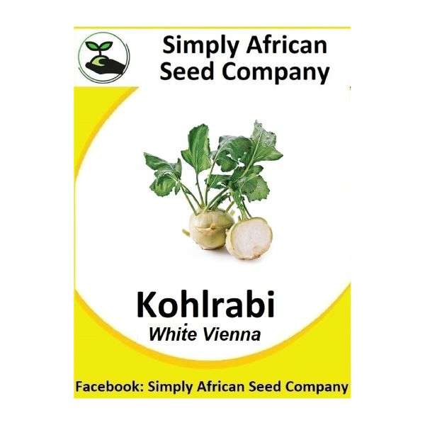 Kohlrabi White Vieanna Seeds