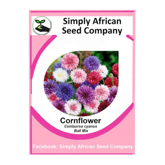 Cornflower Ball Mix (Centaurea Cyanus) 50's