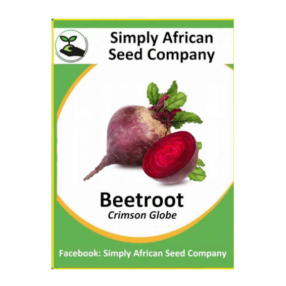 Beetroot Crimson Globe (30's)